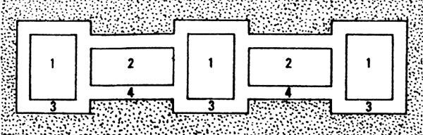 Анютины глазки, фиалка Витрокка, виола, фиалка трехцветная
