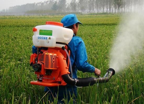 Бензиновый опрыскиватель для сада: правила эксплуатации инструмента