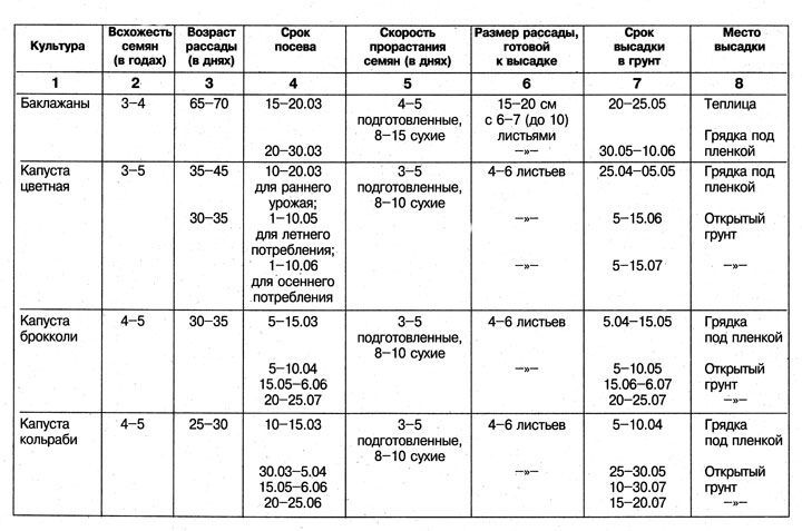 График для посева овощей на рассаду и высадки