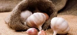 Как сажать чеснок под зиму: когда высаживать и как подготовить к посадке