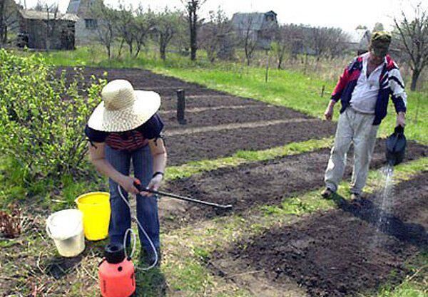 Календарь садовых работ на май