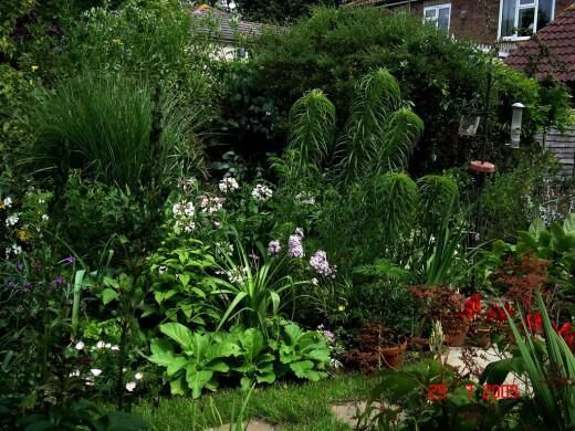 Клумба в тени что посадить