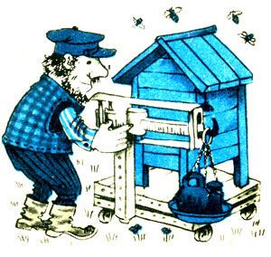 Когда убирать пчел  в омшаник,  правильный уход