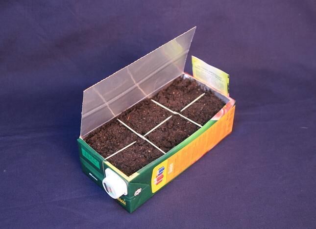 Контейнер для рассады своими руками