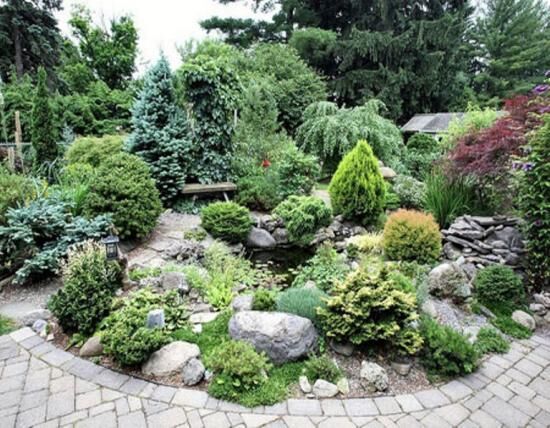 Почему нельзя сажать елки на участке, приметы и суеверия, справедливы ли они