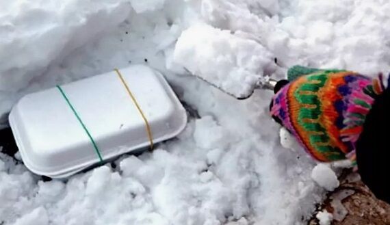 Подготовка семян к посеву — закаливание