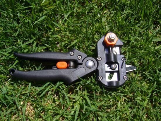 Секатор для прививки деревьев: требования к данному инструменту