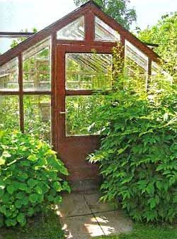 Уборка и дезинфекция теплицы, как правильно