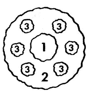 Выбор растений для газонов и цветников по временам года