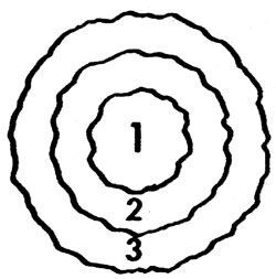 Выбор растений для газонов и цветников по временам года